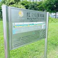 望住維港散步嘅好地方～