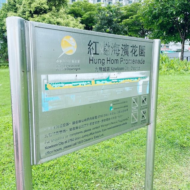 望住維港散步嘅好地方～
