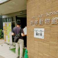 いろんなカメがいる！京都市動物園　熱帯館