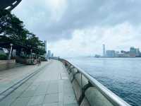 金紫荊廣場無敵海景