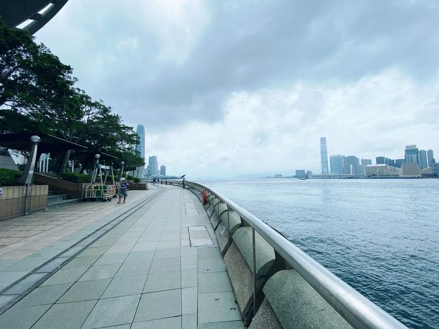 金紫荊廣場無敵海景