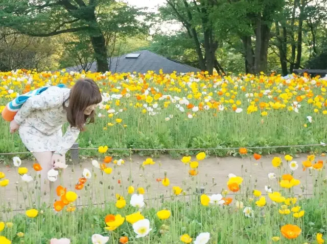 東京賞花好去處｜花卉節🤩🤩🌹🌺