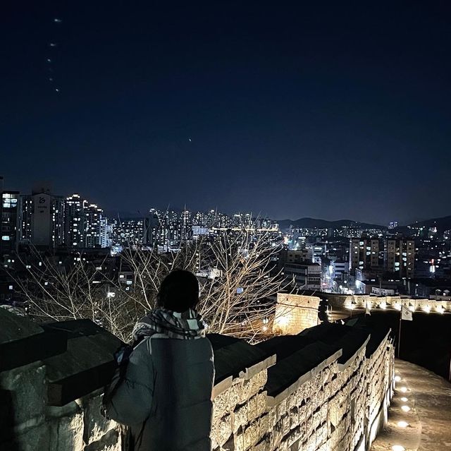 야경이 예쁜 수원 화성 🌌