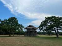 卑南文化公園 超大的十石板棺墓葬群遺址 