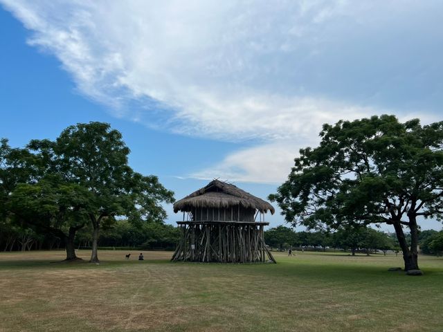 卑南文化公園 超大的十石板棺墓葬群遺址 