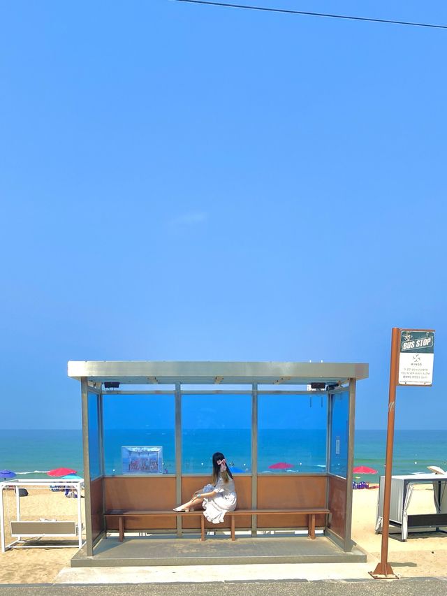 강릉에 있는 바다 포토존 접수하자고 ! 🏖
