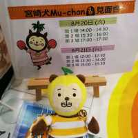 宮崎檸檬仔一期一會旅遊展🍋🐶