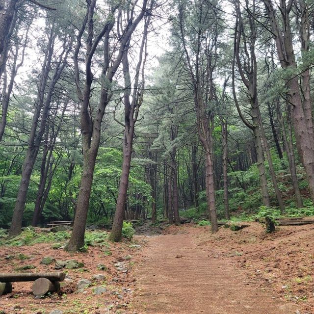 가평여행 축령산 등산