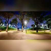 สวนป่า กลางกรุง