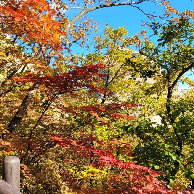 Autumn in South Korea