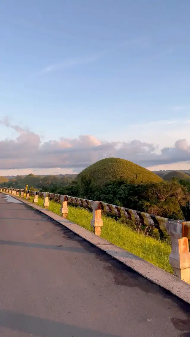 Amazing view of Chocolate Hills in Bohol