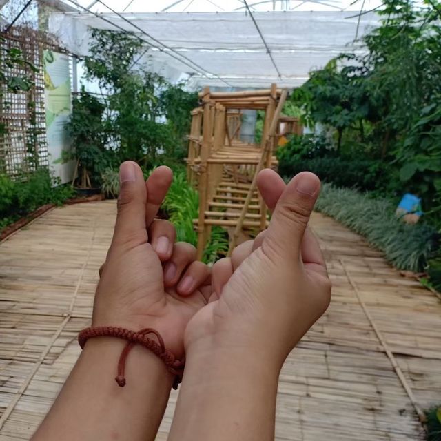 สวนพฤกษศาสตร์สิริกิติ์