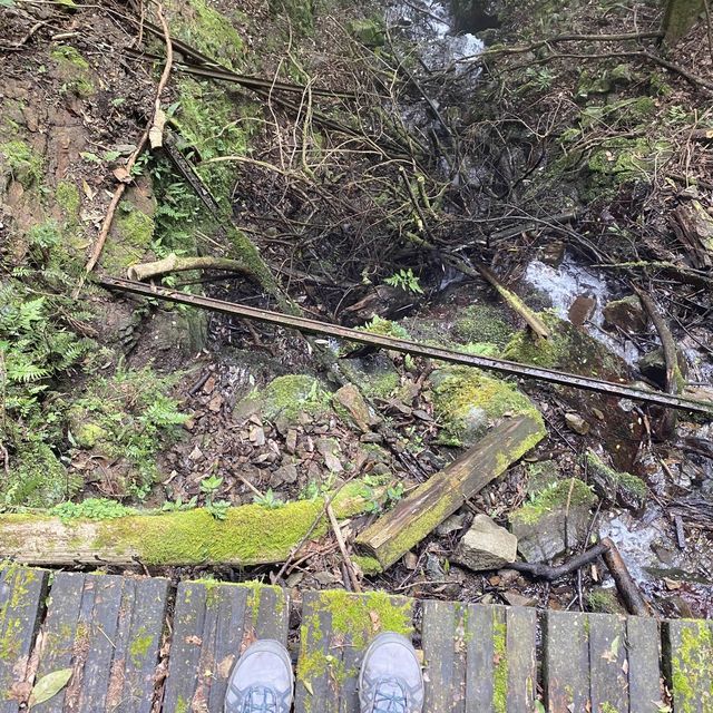 這裡是苗栗加里山