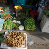 ๐งณํธ์ด์ ์คํธ๋ฆฌํธ ๋ง์ผ(hoi an street market)