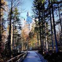 Neuschwanstein Castle In Munich Germany