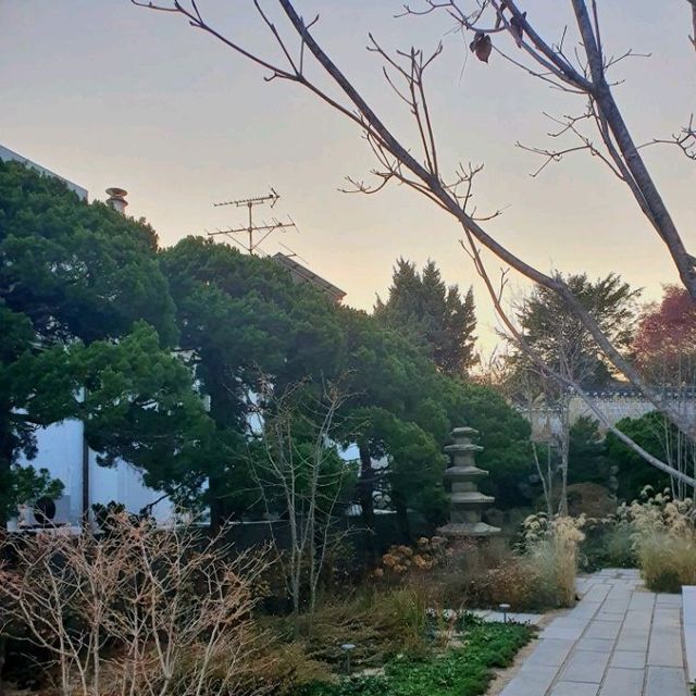N서울타워가 보이는 한국 감성 카페🌱오설록