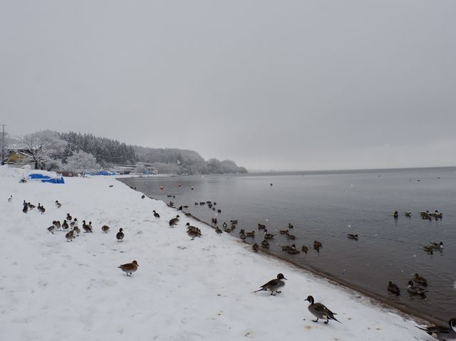 Lake inawashiro , Fukushima 