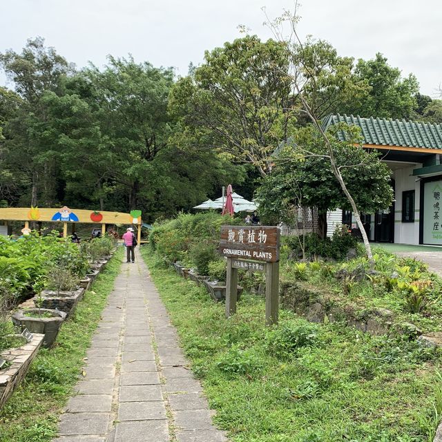 香港小清境 #免費泊車
