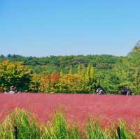 ์ธ์ฐ ํํฌ๋ฎฌ๋ฆฌ ๋ช
์ '์ธ์ฐ๋๊ณต์'