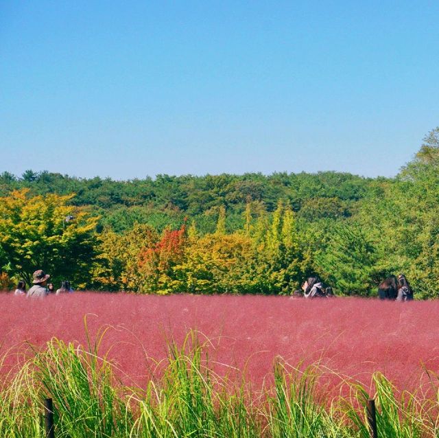 ์ธ์ฐ ํํฌ๋ฎฌ๋ฆฌ ๋ช
์ '์ธ์ฐ๋๊ณต์' ์ธ์ฐ ํํฌ๋ฎฌ๋ฆฌ ๋ช
์ '์ธ์ฐ๋๊ณต์'