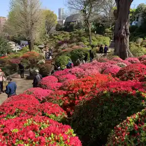 Tripメモリーで東京 根津神社をチェック Trip Comトラベルガイド
