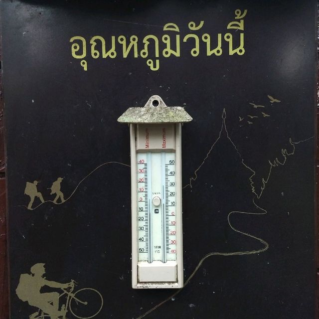 กางเต็นท์บนดอยปุย