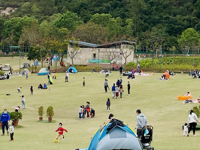 草地任你滾 佐敦谷公園
