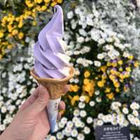 【栃木】チューリップが満開🌷まだまだ桜も楽しめる✨