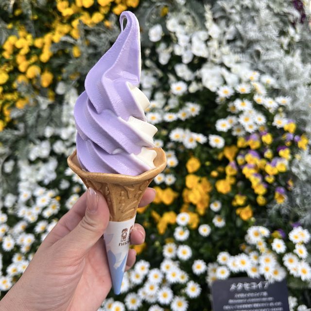 【栃木】チューリップが満開🌷まだまだ桜も楽しめる✨