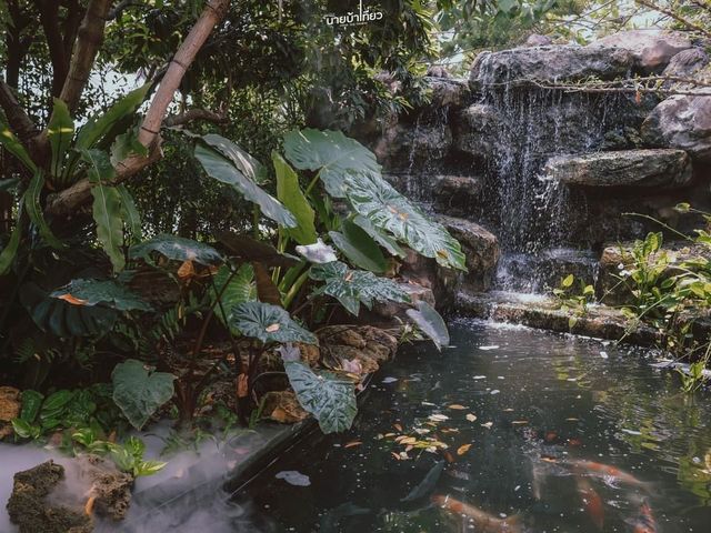 𝐅𝐢𝐨𝐧𝐚 𝐓𝐫𝐨𝐩𝐢𝐜𝐚𝐥 𝐂𝐚𝐟𝐞  จ.อยุธยา