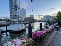 お花好きにはたまらない！横浜フラワー散歩！