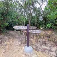 深井易行山道
