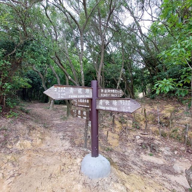 深井易行山道
