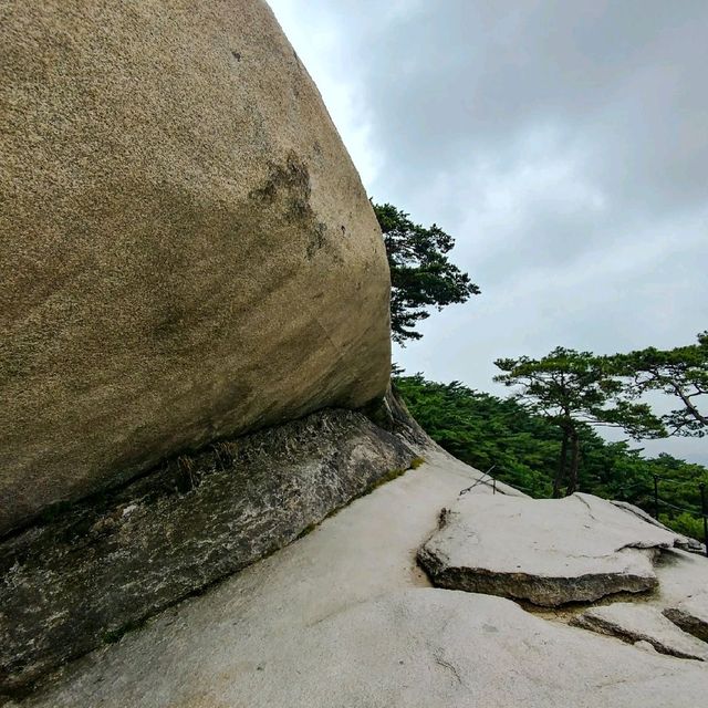 서울 등산 수락산 