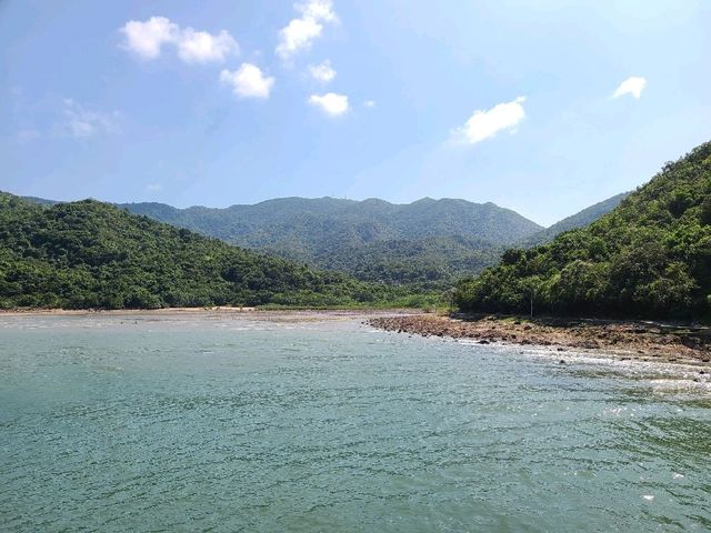 世外桃源系列~荔枝莊🏝️