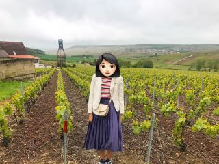 Interesting Champagne Class Experience in Champagne Region