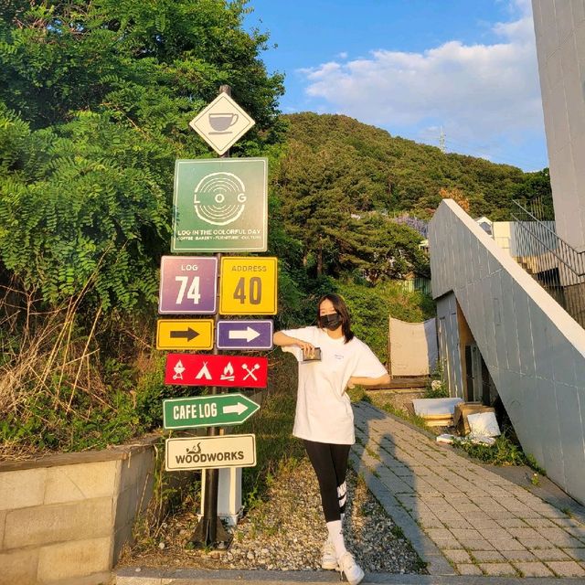 남양주 로그 노을이 예쁜 팔당 드라이브 카페 🌄