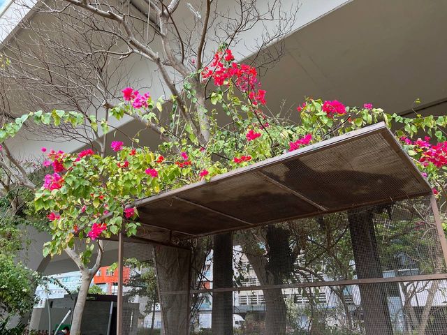 觀塘海濱花園 觀塘海濱花園