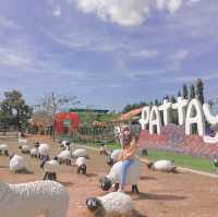 Pattaya Sheep Farm
