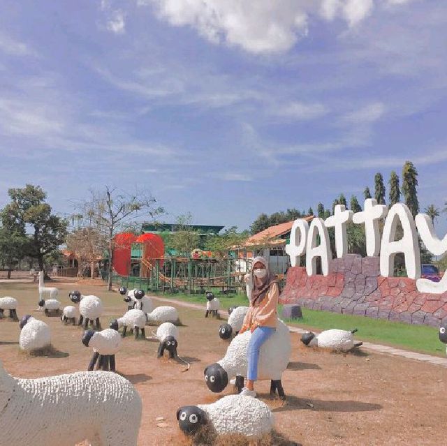 Pattaya Sheep Farm