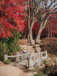 가을 단풍 명소, 경주 불국사🍁