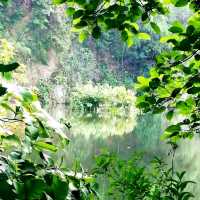Little Guilin, Bukit Batok Town Park 