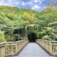 【青森】紅葉に色づく奥入瀬激流をお散歩♪