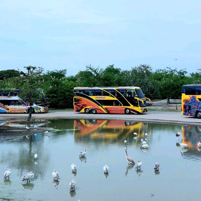 ซาฟารีเวิลด์