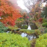 岩手県！盛岡城跡公園の紅葉