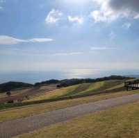 兵庫縣立公園淡路花棧敷