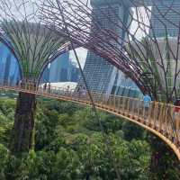 Best travel place, “Garden by the bay”