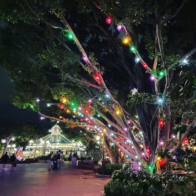 煙花下既聖誕樹🎄充滿奇妙既樂園✨-香港迪士尼樂園