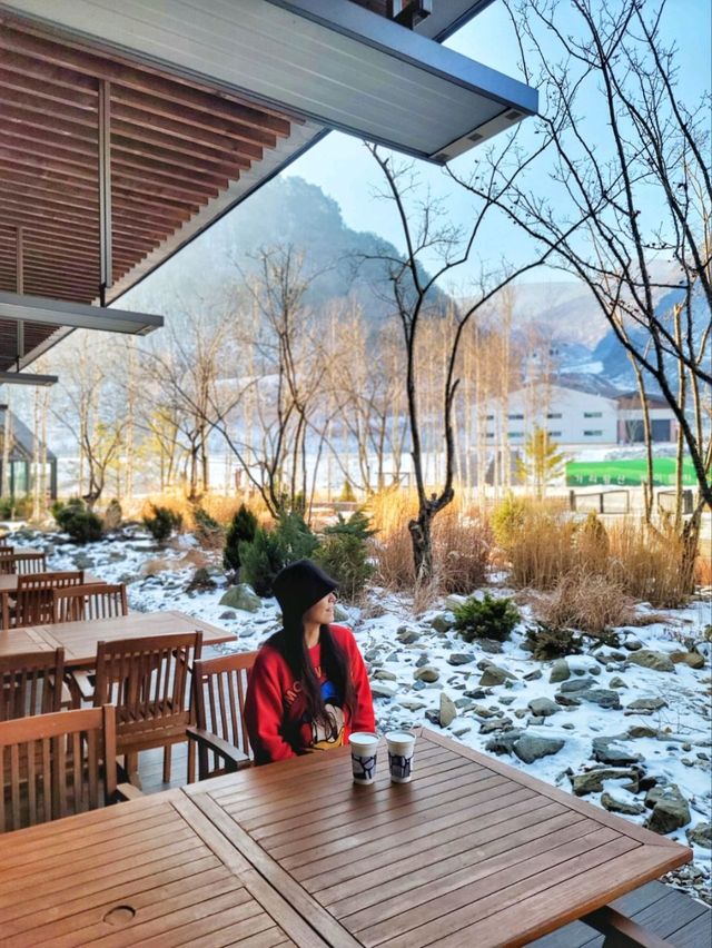 눈내린 가리왕산뷰의 매력을 눈앞에서! 정선 로쉬카페⛰️