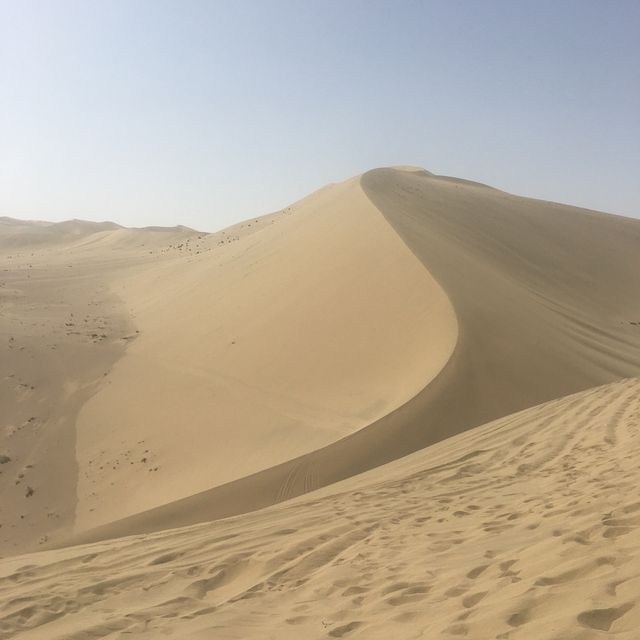 desert oasis 